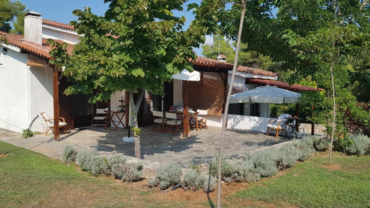 Konstantinos'S Luxury Residence Sani Sani  Exteriér fotografie